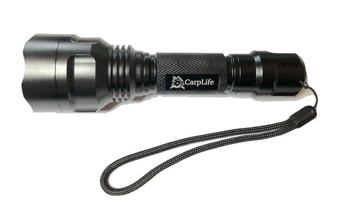 Carp life bird - bird, torch