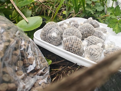 101 carp pellet - 101, balls